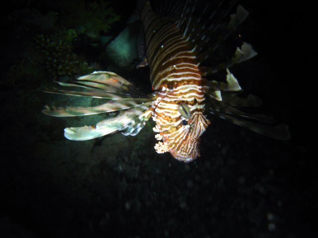 dsc03058.jpg