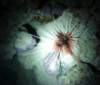 dsc03065_small.jpg