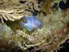 dsc03066_small.jpg