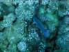 dsc03067_small.jpg