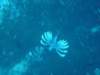 dsc03069_small.jpg