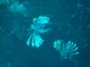 dsc03070_small.jpg