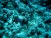 dsc03071_small.jpg