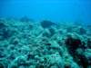dsc03072_small.jpg