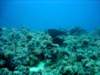 dsc03073_small.jpg