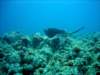 dsc03074_small.jpg