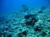 dsc03076_small.jpg