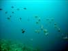 dsc03077_small.jpg