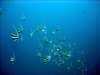 dsc03078_small.jpg