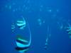 dsc03080_small.jpg