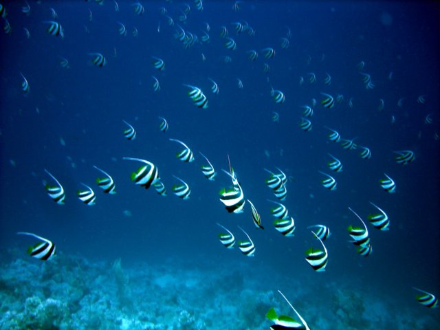 dsc03081.jpg