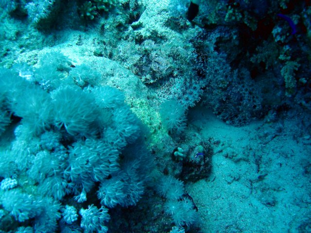 dsc03083.jpg