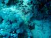 dsc03083_small.jpg
