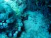 dsc03084_small.jpg