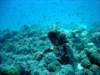 dsc03085_small.jpg