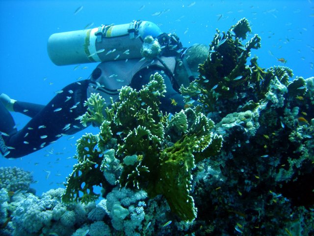 dsc03086.jpg