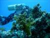 dsc03086_small.jpg