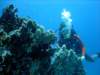 dsc03087_small.jpg
