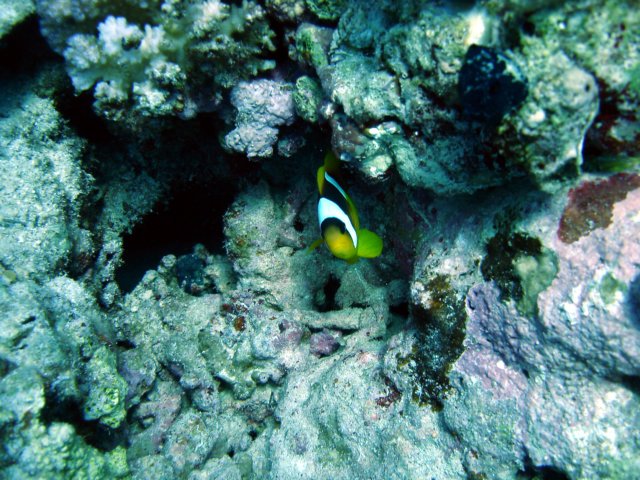 dsc03089.jpg