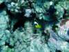 dsc03089_small.jpg
