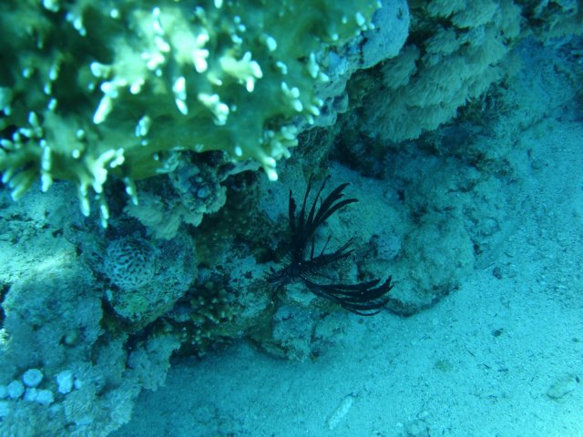 dsc03091.jpg