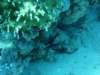 dsc03091_small.jpg
