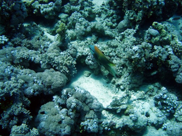 dsc03092.jpg