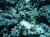 dsc03092_small.jpg