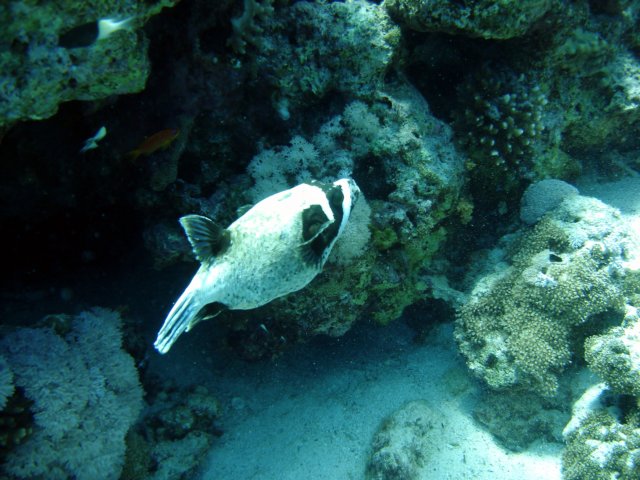 dsc03093.jpg