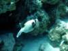 dsc03093_small.jpg
