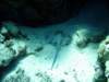 dsc03094_small.jpg