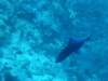 dsc03098_small.jpg