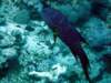 dsc03100_small.jpg