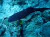 dsc03101_small.jpg