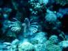 dsc03102_small.jpg