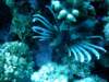 dsc03103_small.jpg