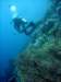 dsc03105_small.jpg