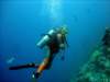 dsc03106_small.jpg