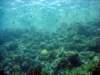 dsc03107_small.jpg