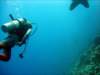 dsc03108_small.jpg