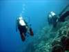 dsc03109_small.jpg