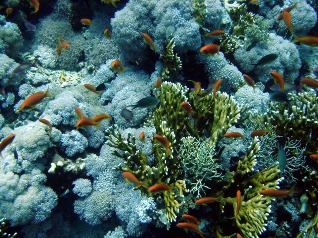 dsc03110.jpg