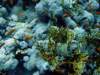 dsc03110_small.jpg