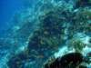 dsc03111_small.jpg