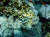 dsc03112_small.jpg