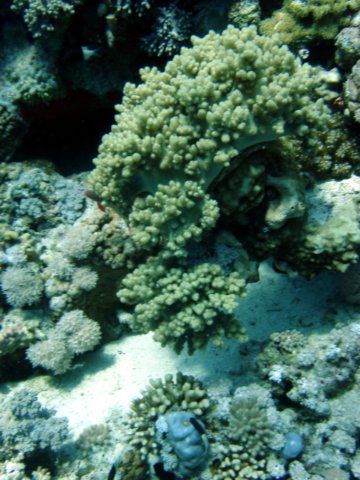 dsc03113.jpg