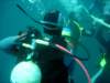 dsc03114_small.jpg