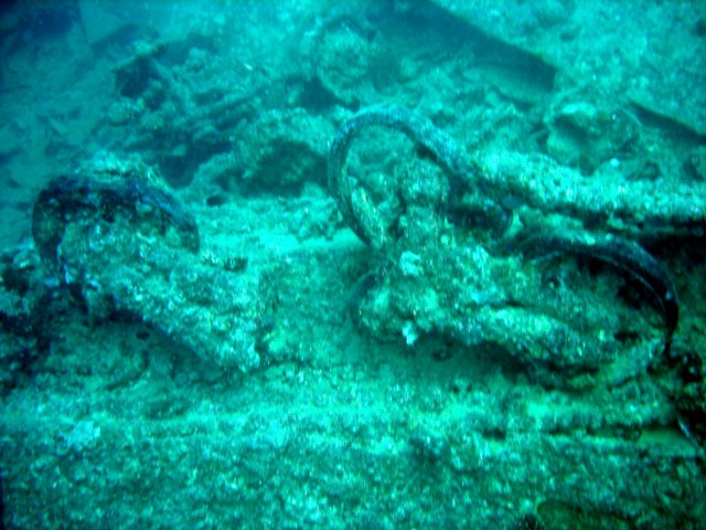 dsc03116.jpg