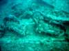 dsc03116_small.jpg