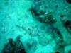 dsc03117_small.jpg